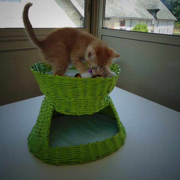 panier à chat vert anis