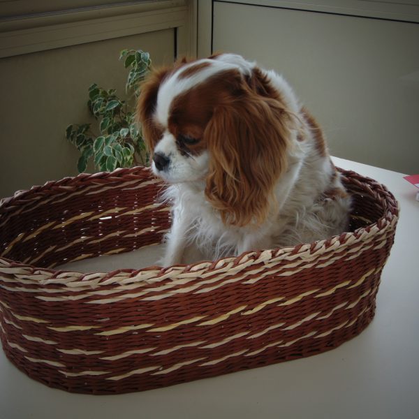 panière à chien réalisée en Eco Vannerie panière à chien réalisée en Eco Vannerie