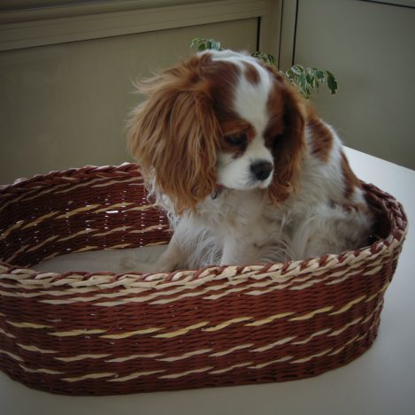 panière à chien en papier journal