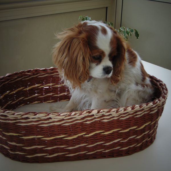 panière à chien en papier journal panière à chien en papier journal