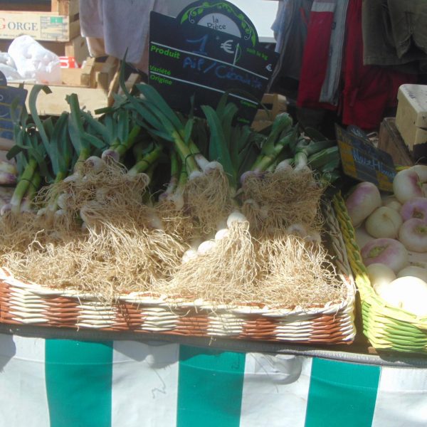 Panier dédié au rangement de légume
