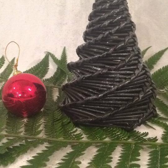 15301238_710554119120258_462943914_n