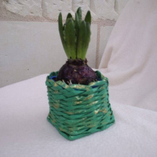 Pot Jacinthe en papier journal vert et doré