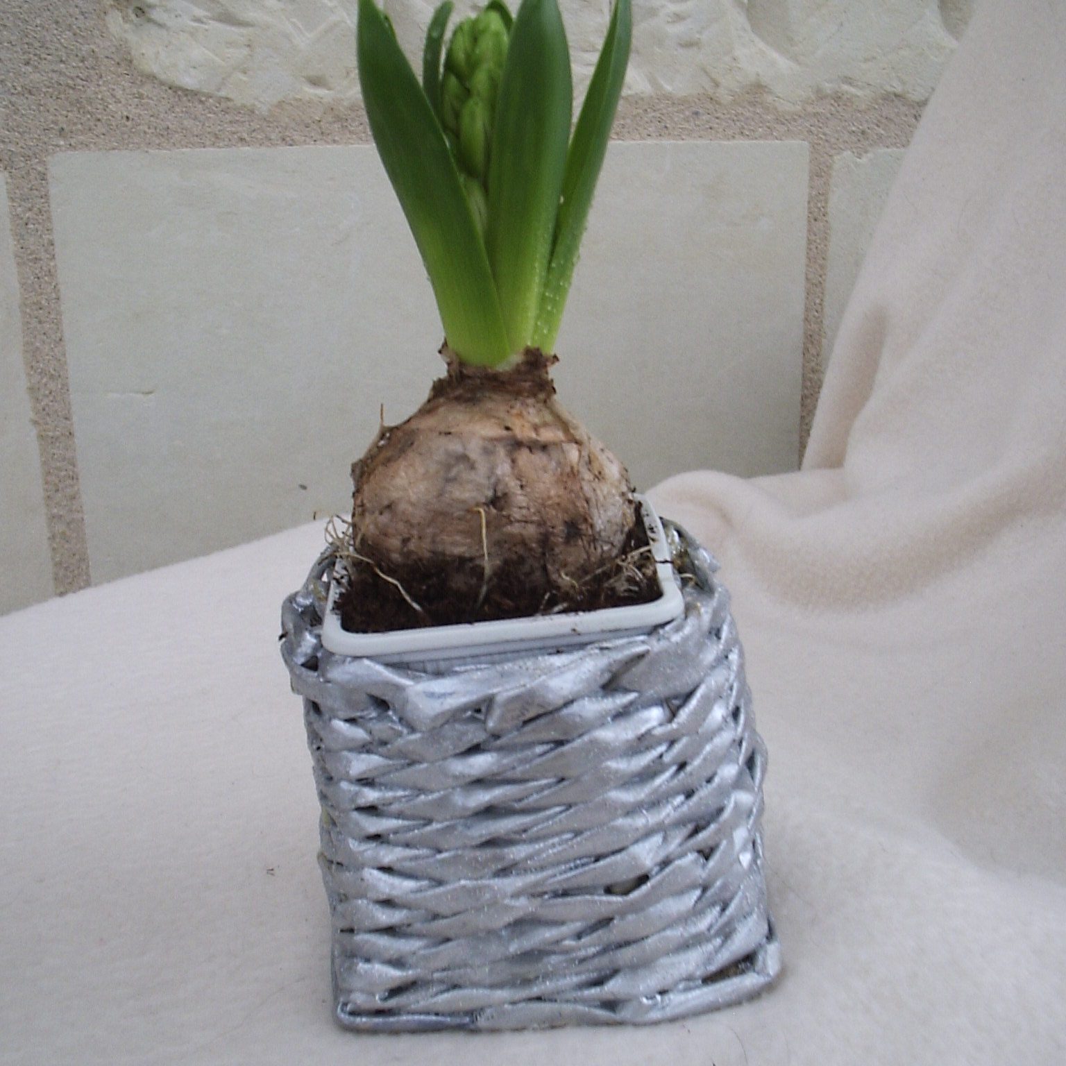 Pot Jacinthe en papier journal argenté