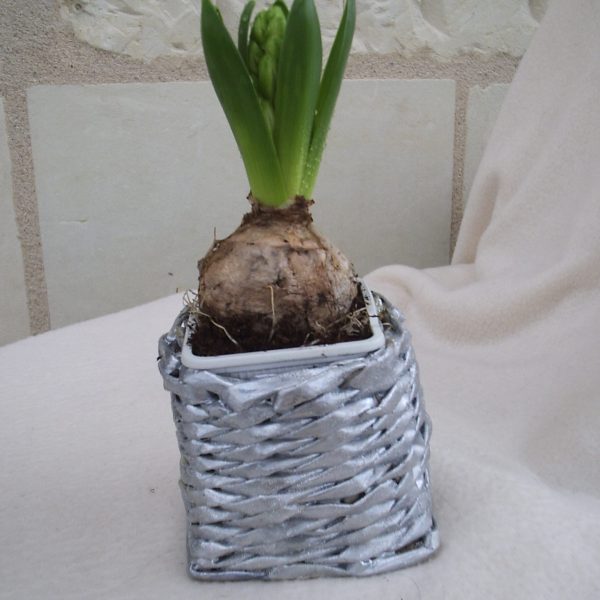 Pot Jacinthe en papier journal argenté